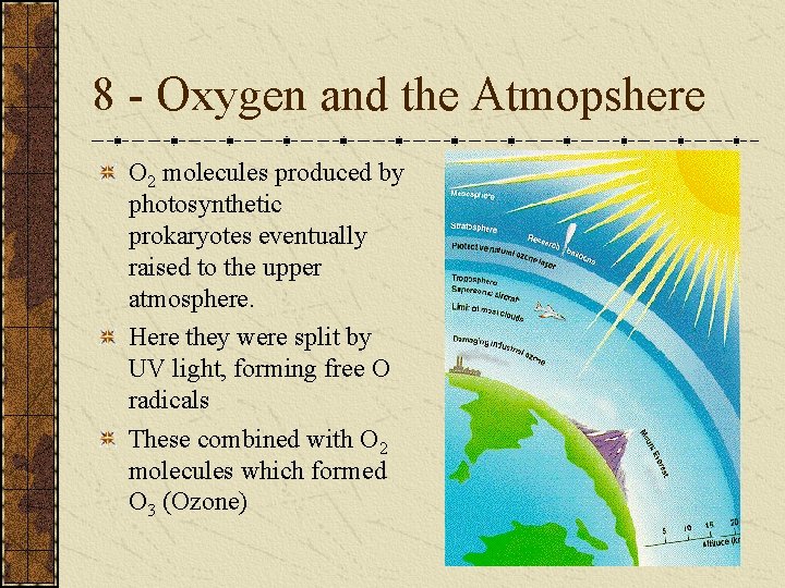 8 - Oxygen and the Atmopshere O 2 molecules produced by photosynthetic prokaryotes eventually