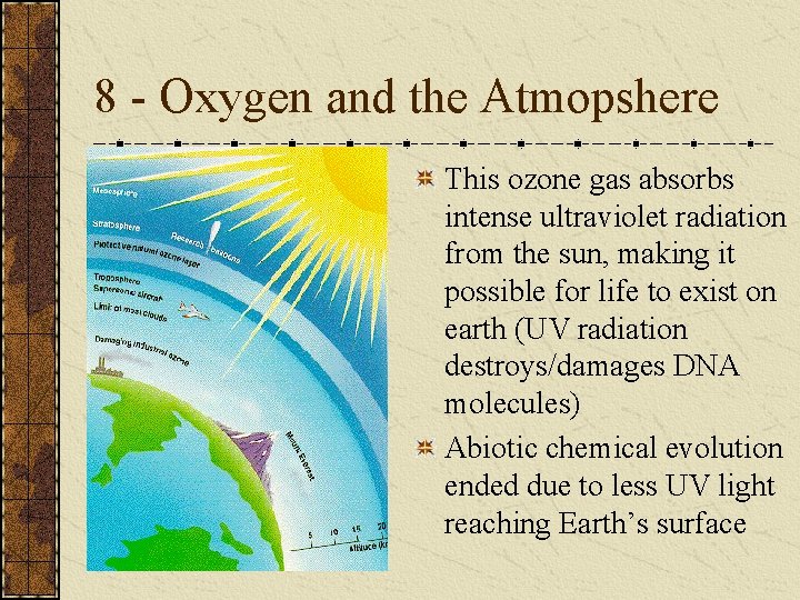 8 - Oxygen and the Atmopshere This ozone gas absorbs intense ultraviolet radiation from