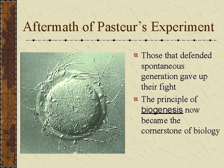 Aftermath of Pasteur’s Experiment Those that defended spontaneous generation gave up their fight The