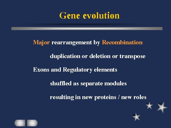 Gene evolution Major rearrangement by Recombination duplication or deletion or transpose Exons and Regulatory