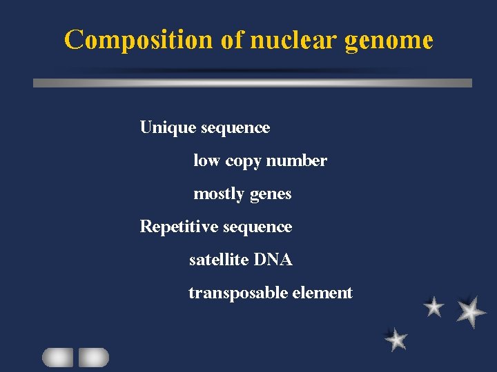 Composition of nuclear genome Unique sequence low copy number mostly genes Repetitive sequence satellite