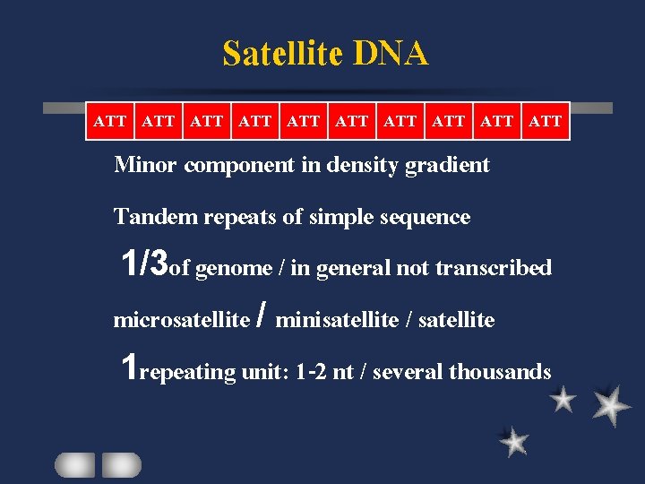 Satellite DNA ATT ATT ATT Minor component in density gradient Tandem repeats of simple