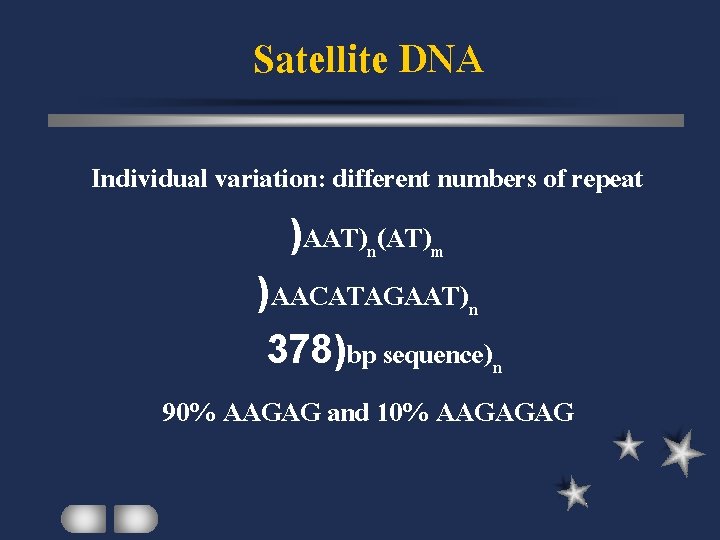 Satellite DNA Individual variation: different numbers of repeat )AAT)n(AT)m )AACATAGAAT)n 378)bp sequence)n 90% AAGAG
