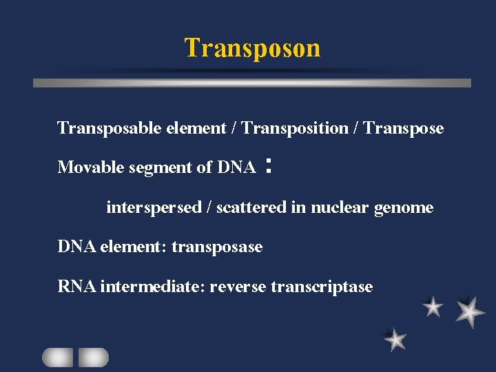Transposon Transposable element / Transposition / Transpose Movable segment of DNA : interspersed /
