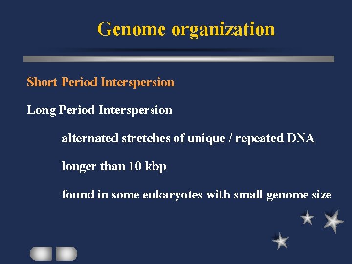 Genome organization Short Period Interspersion Long Period Interspersion alternated stretches of unique / repeated