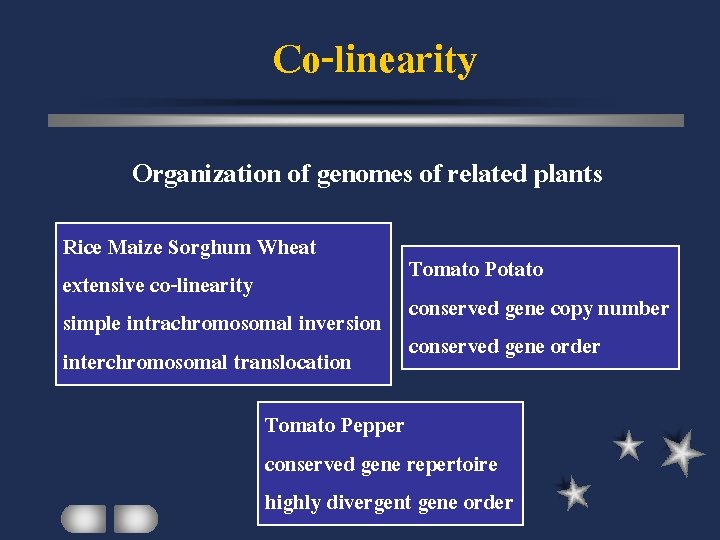 Co-linearity Organization of genomes of related plants Rice Maize Sorghum Wheat Tomato Potato extensive