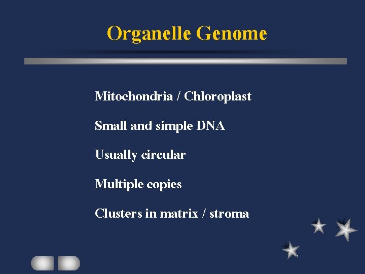 Organelle Genome Mitochondria / Chloroplast Small and simple DNA Usually circular Multiple copies Clusters
