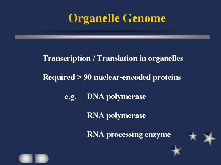 Organelle Genome Transcription / Translation in organelles Required > 90 nuclear-encoded proteins e. g.