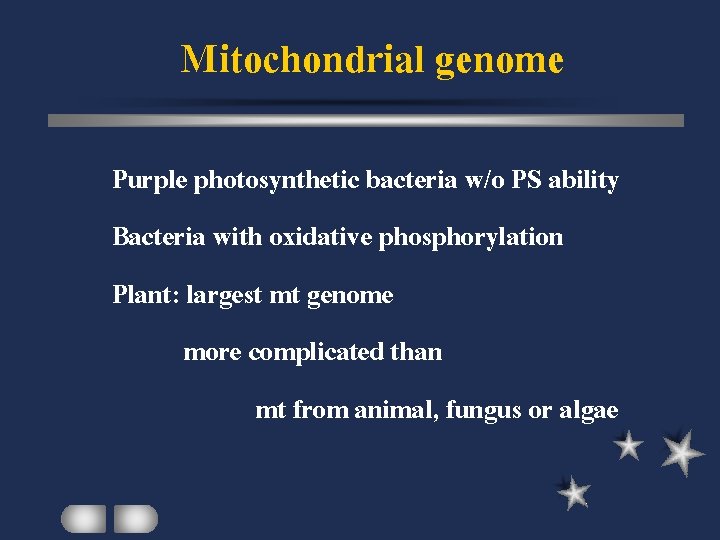 Mitochondrial genome Purple photosynthetic bacteria w/o PS ability Bacteria with oxidative phosphorylation Plant: largest