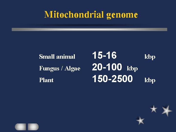 Mitochondrial genome Small animal Fungus / Algae Plant 15 -16 kbp 20 -100 kbp