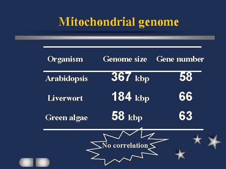 Mitochondrial genome Organism Genome size Gene number Arabidopsis 367 kbp 58 Liverwort 184 kbp