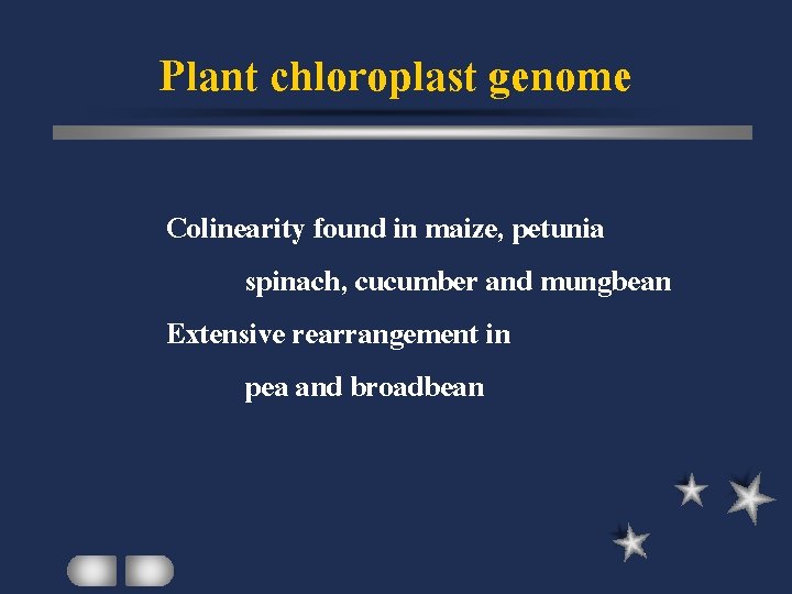 Plant chloroplast genome Colinearity found in maize, petunia spinach, cucumber and mungbean Extensive rearrangement