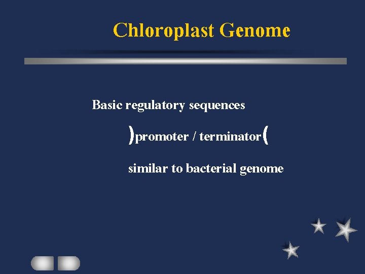 Chloroplast Genome Basic regulatory sequences )promoter / terminator( similar to bacterial genome 