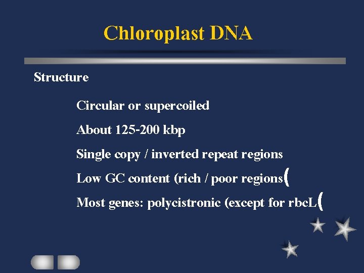 Chloroplast DNA Structure Circular or supercoiled About 125 -200 kbp Single copy / inverted