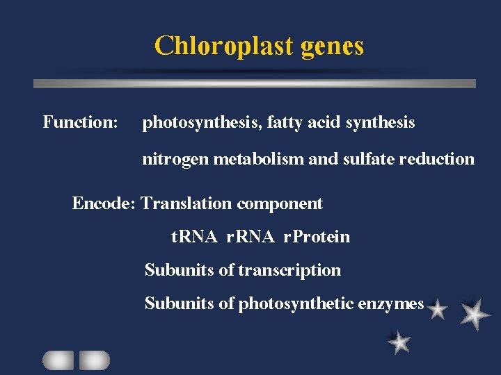 Chloroplast genes Function: photosynthesis, fatty acid synthesis nitrogen metabolism and sulfate reduction Encode: Translation