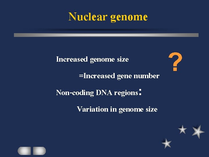Nuclear genome Increased genome size =Increased gene number Non-coding DNA regions: Variation in genome