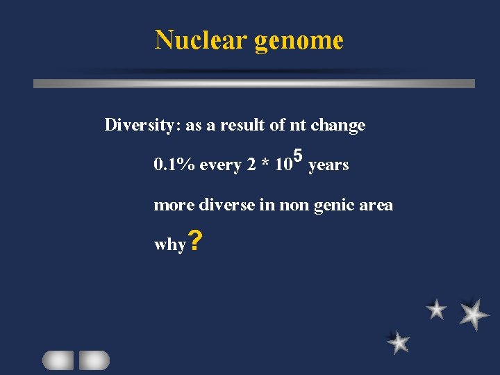 Nuclear genome Diversity: as a result of nt change 0. 1% every 2 *