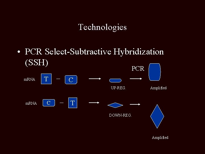 Technologies • PCR Select-Subtractive Hybridization (SSH) PCR m. RNA T C UP-REG. m. RNA