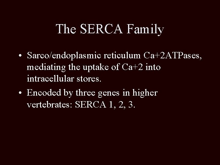 The SERCA Family • Sarco/endoplasmic reticulum Ca+2 ATPases, mediating the uptake of Ca+2 into