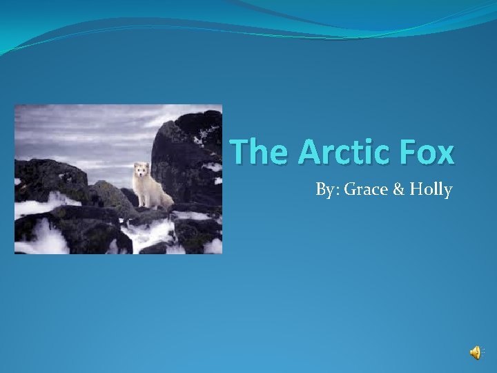 The Arctic Fox By: Grace & Holly 