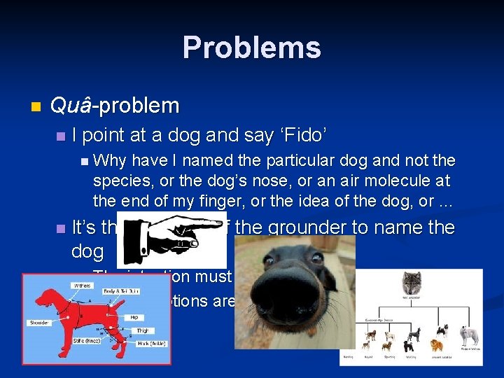 Problems n Quâ-problem n I point at a dog and say ‘Fido’ n Why