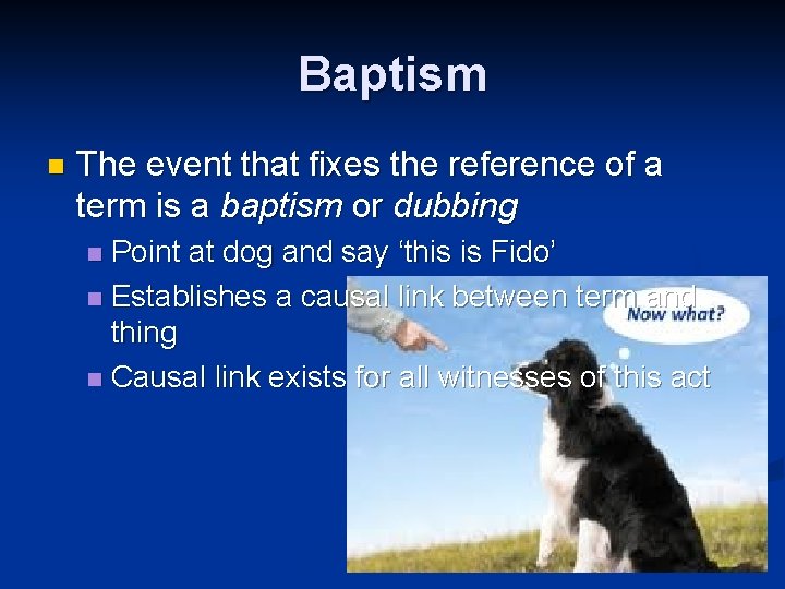 Baptism n The event that fixes the reference of a term is a baptism