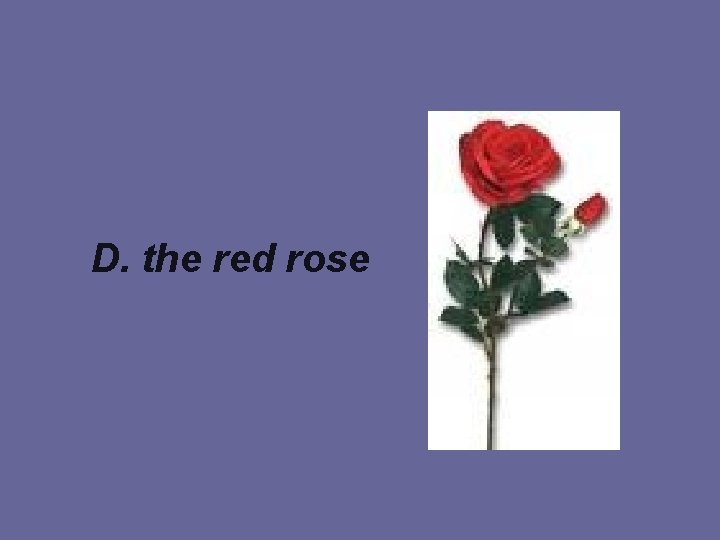 D. the red rose 