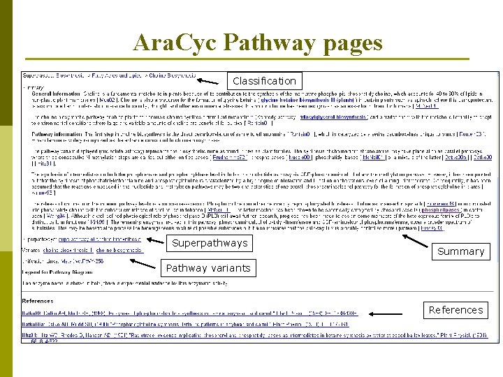 Ara. Cyc Pathway pages Classification Superpathways Summary Pathway variants References 