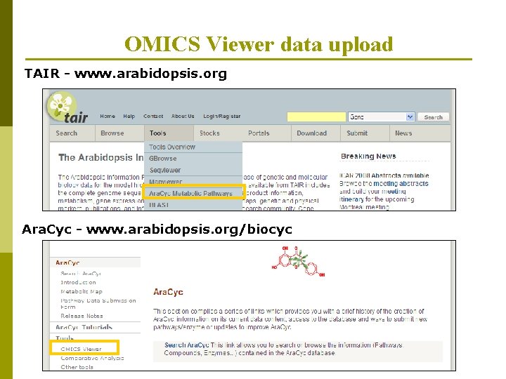 OMICS Viewer data upload TAIR - www. arabidopsis. org Ara. Cyc - www. arabidopsis.