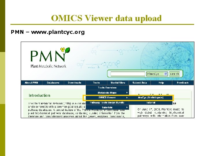 OMICS Viewer data upload PMN – www. plantcyc. org 