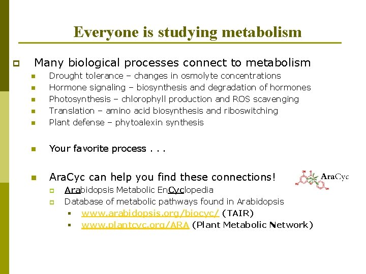 Everyone is studying metabolism p Many biological processes connect to metabolism n Drought tolerance