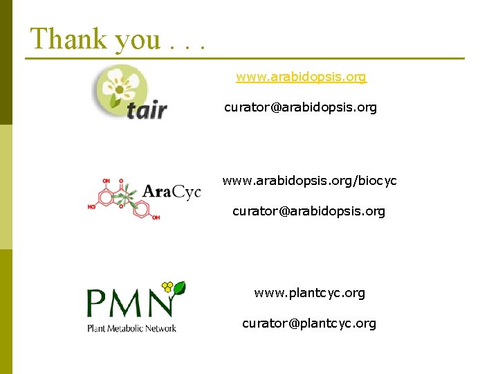 Thank you. . . www. arabidopsis. org curator@arabidopsis. org www. arabidopsis. org/biocyc curator@arabidopsis. org