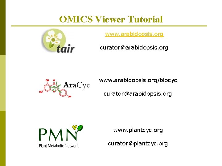 OMICS Viewer Tutorial www. arabidopsis. org curator@arabidopsis. org www. arabidopsis. org/biocyc curator@arabidopsis. org www.