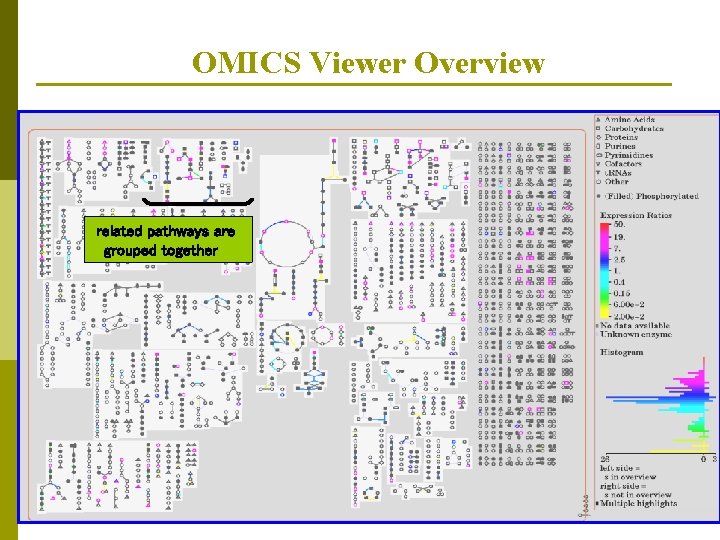 OMICS Viewer Overview related pathways are grouped together 