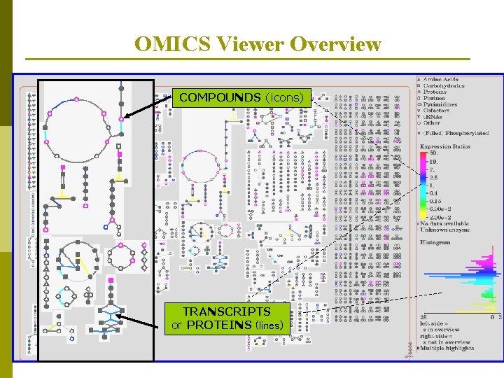 OMICS Viewer Overview COMPOUNDS (icons) TRANSCRIPTS or PROTEINS (lines) 