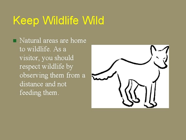 Keep Wildlife Wild n Natural areas are home to wildlife. As a visitor, you