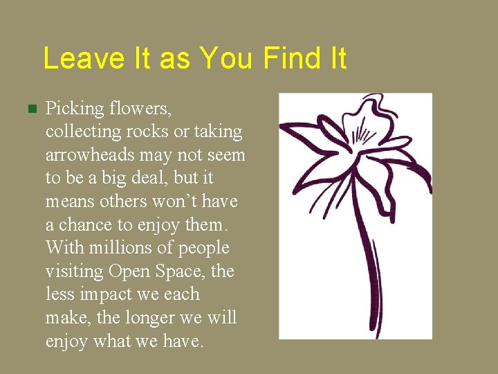 Leave It as You Find It n Picking flowers, collecting rocks or taking arrowheads