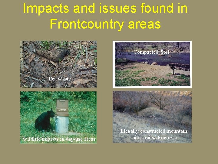 Impacts and issues found in Frontcountry areas Severely eroded areas/trails Dealing with multi-use Compacted