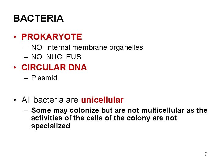 BACTERIA • PROKARYOTE – NO internal membrane organelles – NO NUCLEUS • CIRCULAR DNA