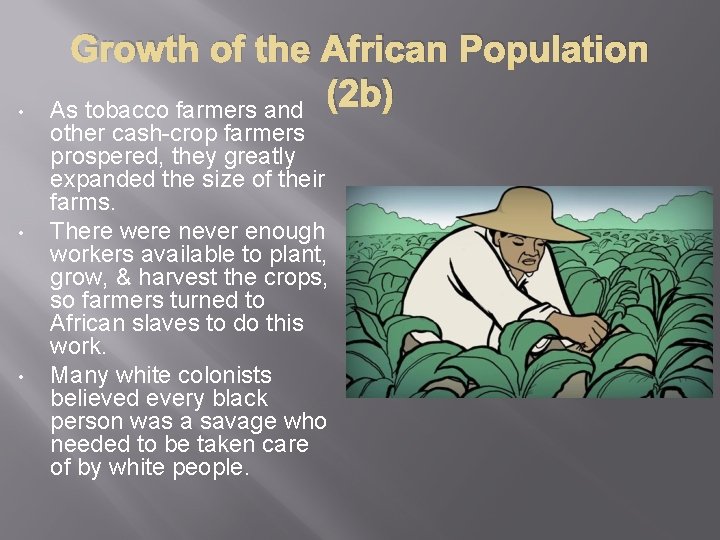  • • • Growth of the African Population (2 b) As tobacco farmers