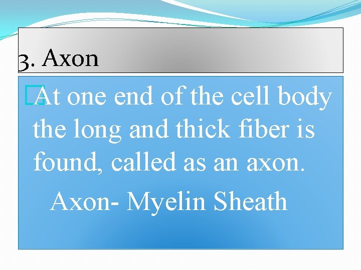 3. Axon � At one end of the cell body the long and thick