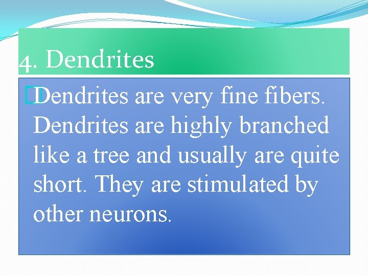 4. Dendrites � Dendrites are very fine fibers. Dendrites are highly branched like a