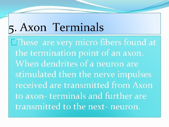 5. Axon Terminals �These are very micro fibers found at the termination point of