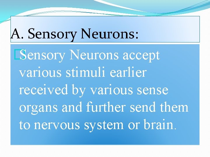 A. Sensory Neurons: � Sensory Neurons accept various stimuli earlier received by various sense