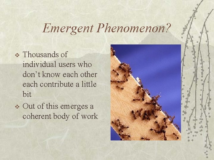 Emergent Phenomenon? v v Thousands of individual users who don’t know each other each