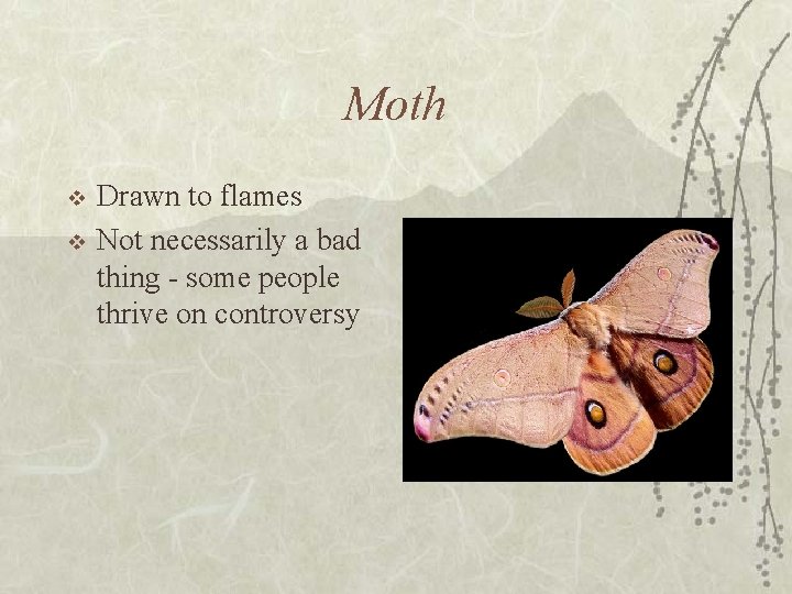 Moth v v Drawn to flames Not necessarily a bad thing - some people