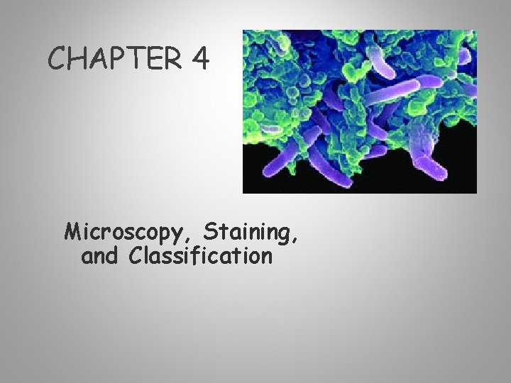 CHAPTER 4 Microscopy, Staining, and Classification 