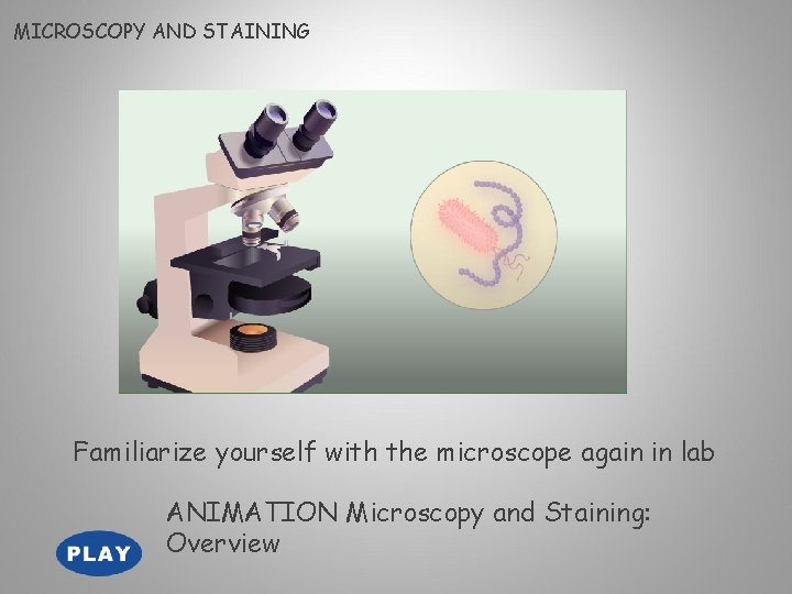 MICROSCOPY AND STAINING Familiarize yourself with the microscope again in lab ANIMATION Microscopy and