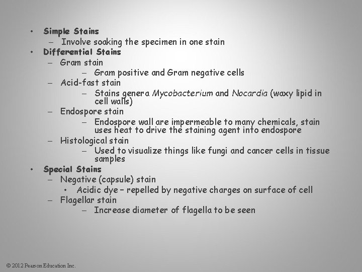  • • • Simple Stains – Involve soaking the specimen in one stain