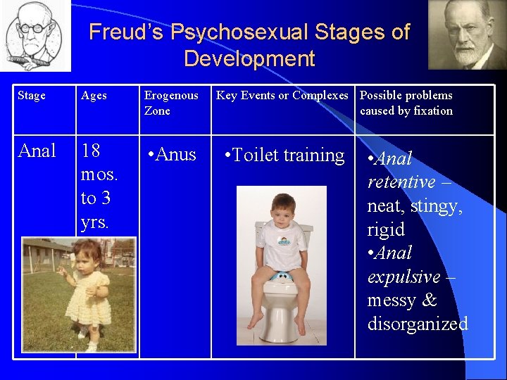 Freud’s Psychosexual Stages of Development Stage Ages Erogenous Zone Anal 18 mos. to 3